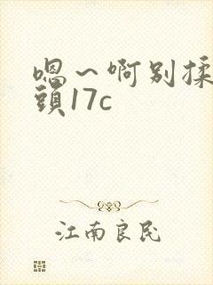 嗯～啊别揉我奶头17c