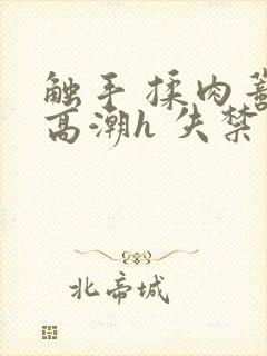 触手 揉肉蒂 高潮h 失禁小说