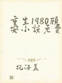 重生1980顾安小说免费阅读最新章节