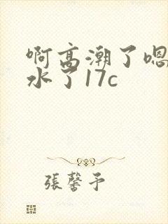 啊高潮了嗯～喷水了17c