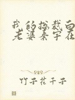 我的总裁白富美老婆秦宇在线阅读小说封面