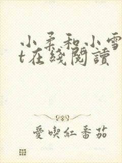 小柔和小雪txt在线阅读