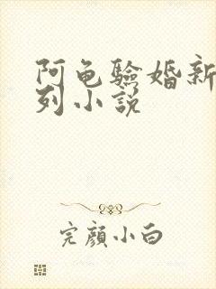 阿龟验婚新娘系列小说