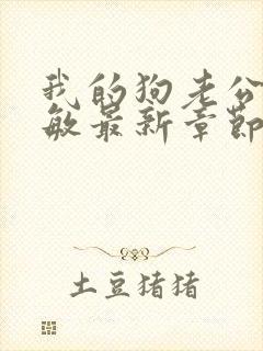 我的狗老公张淑敏最新章节免费阅读