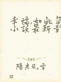 幸福,如此简单小说最新章节阅读全文