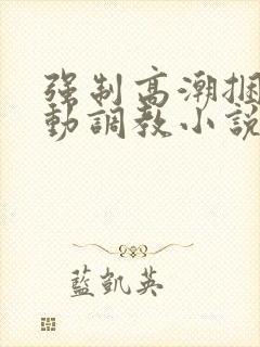 强制高潮捆绑震动调教小说