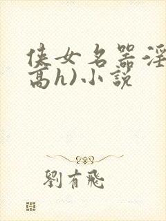 侠女名器淫史(高h)小说