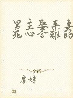 男主娶平妻女主死心合离的古言