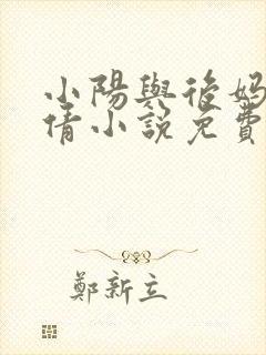 小阳与后妈陈雅倩小说免费阅读封面