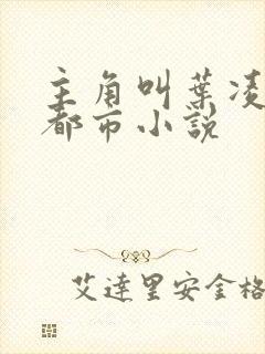 主角叫叶凌天的都市小说