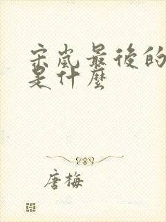 宋岚最后的结局是什么