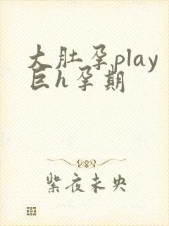 大肚孕play巨h孕期