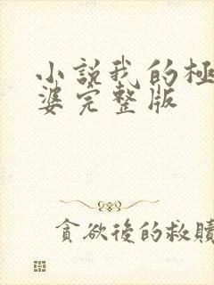 小说我的极品老婆完整版