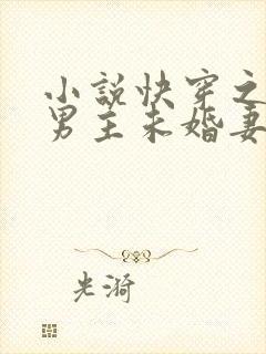 小说快穿之我是男主未婚妻txt