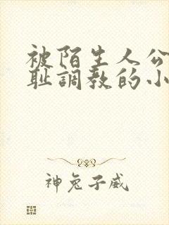 被陌生人公开羞耻调教的小说