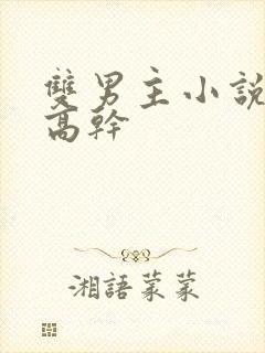 双男主小说推荐高干