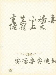 重生小娇妻:大佬宠上天