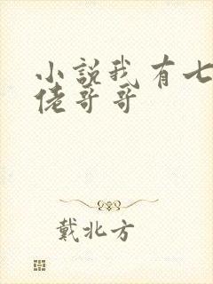 小说我有七个大佬哥哥