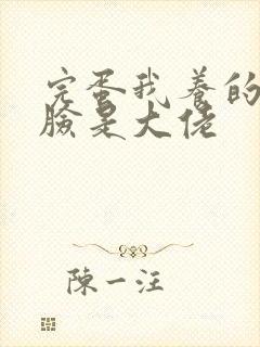 完蛋我养的小白脸是大佬