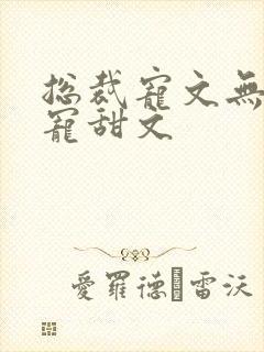 总裁宠文无虐超宠甜文