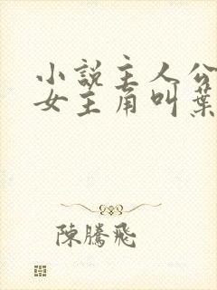 小说主人公林凡女主角叫叶惜