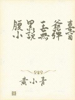 腹黑王爷喜当爹小说无弹窗