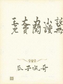 王大力小说小说免费阅读无弹窗