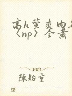 高h荤爽肉欲文〈np〉全黄封面