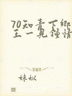 70知青下乡兵王一见钟情顾南封面