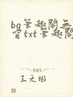 bg笔趣阁无弹窗txt笔趣阁