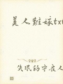 美人难嫁txt封面