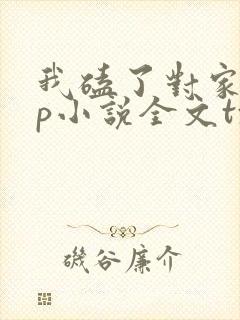 我磕了对家的cp小说全文txt