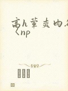 高h荤爽肉欲文〈np