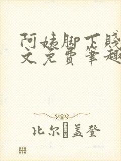 阿姨脚下贱狗全文免费笔趣阁小说封面