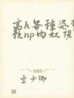 高h各种姿势调教np肉奴视频