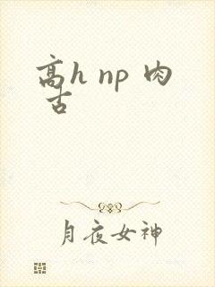 高h np 肉 古封面