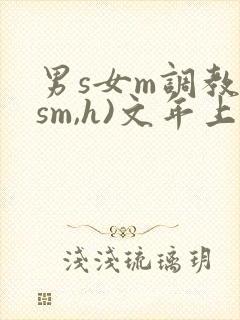 男s女m调教(sm,h)文年上