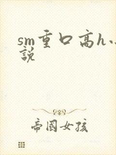sm重口高h小说