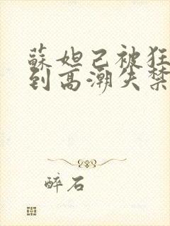 苏妲己被狂c躁到高潮失禁小说封面