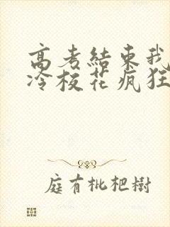 高考结束我被高冷校花疯狂追求下载txt全文