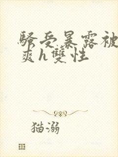 骚受暴露被强好爽h双性封面