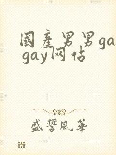 国产男男gay gay网站