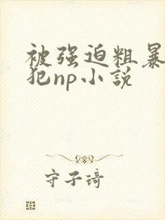 被强迫粗暴的侵犯np小说