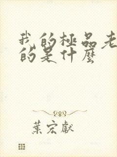 我的极品老婆讲的是什么