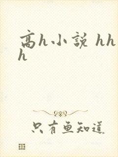 高h小说 hhh