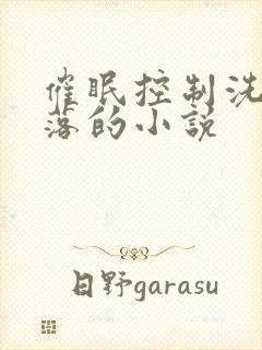 催眠控制洗脑堕落的小说