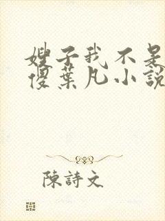 嫂子我不是真的傻叶凡小说免费阅读