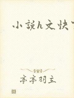 小说h文快穿