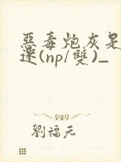 恶毒炮灰是万人迷(np/双)_封面