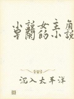 小说女主角叫林星阑的小说推荐